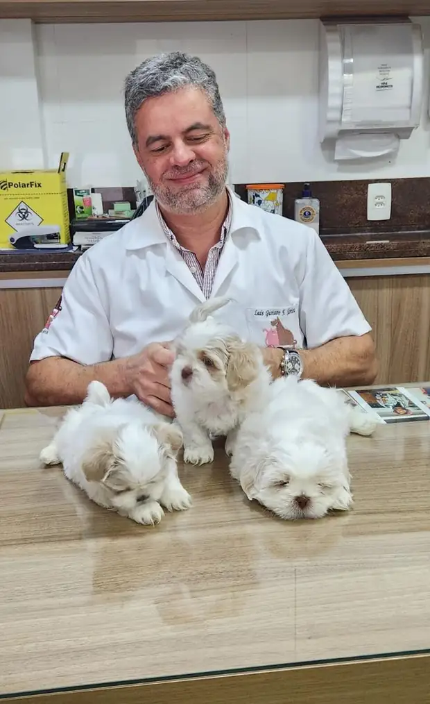 Balcão de atendimento da Personal Dog
